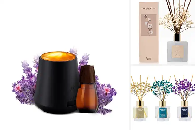 Detailed view of Best Air Freshener Diffusers