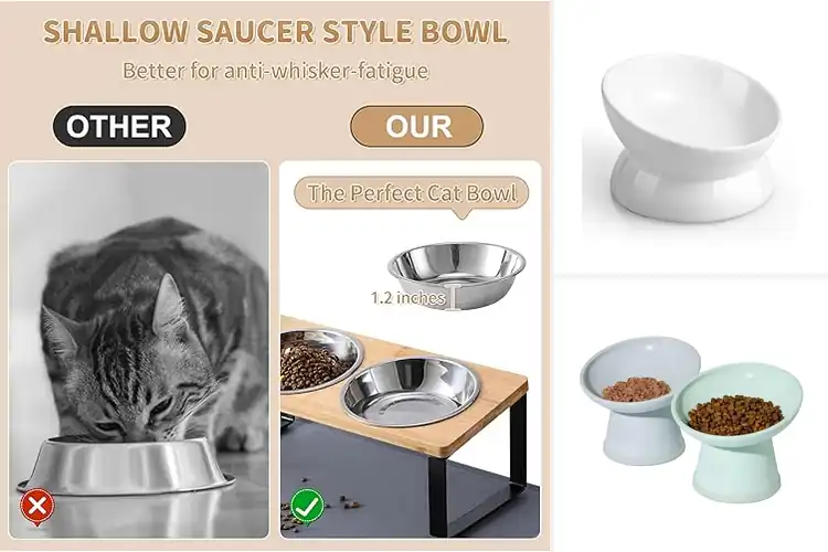 Detailed view of Best Anti Vomiting Cat Bowls