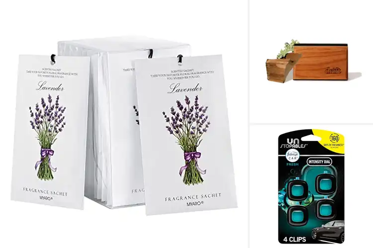 Detailed view of Best Car Air Fresheners