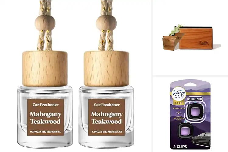 Detailed view of Best Car Fragrances