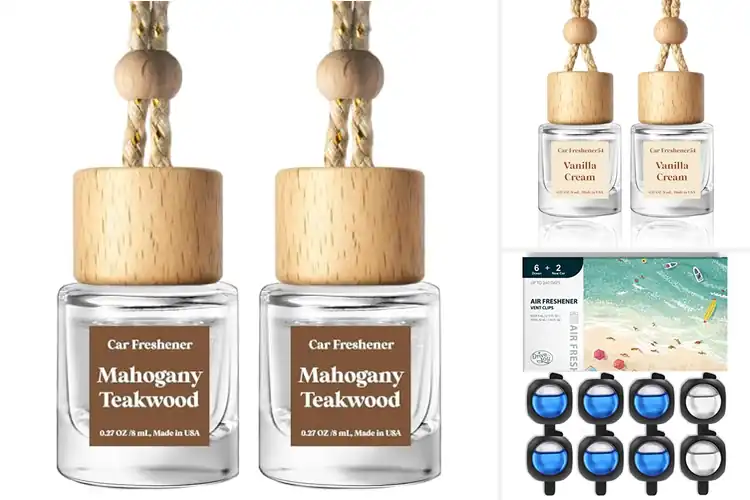 Detailed view of Best Car Perfumes