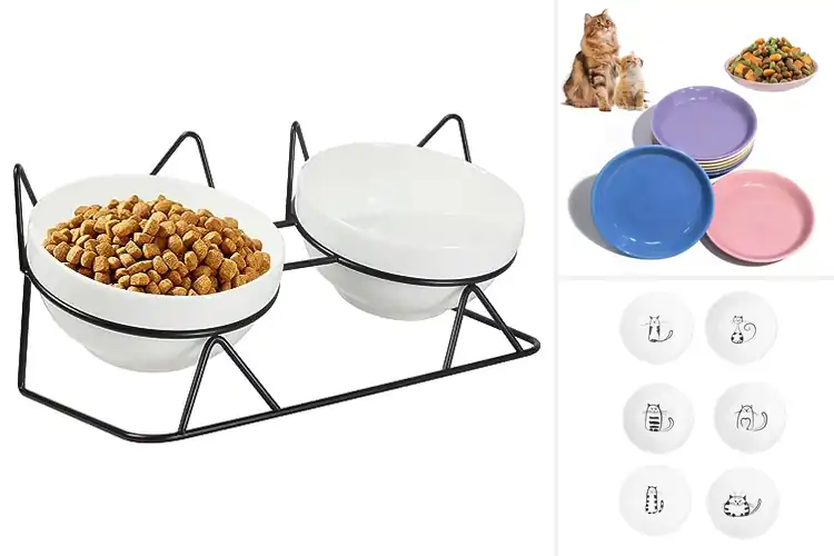 Detailed view of Best Ceramic Cat Bowls