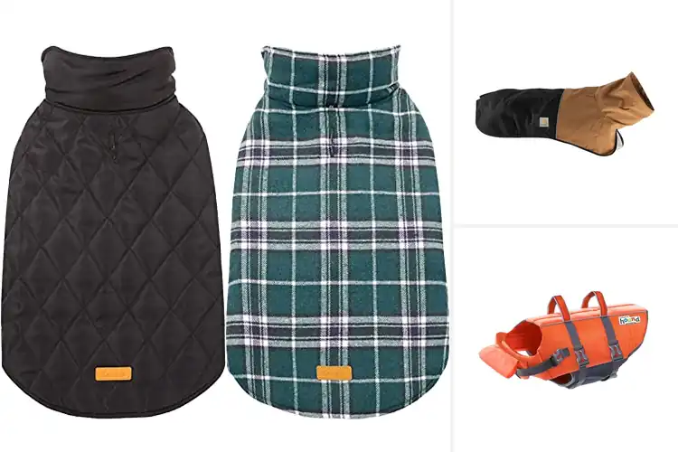 Detailed view of Best Durable Dog Jackets: Top Picks for Outdoor Adventures