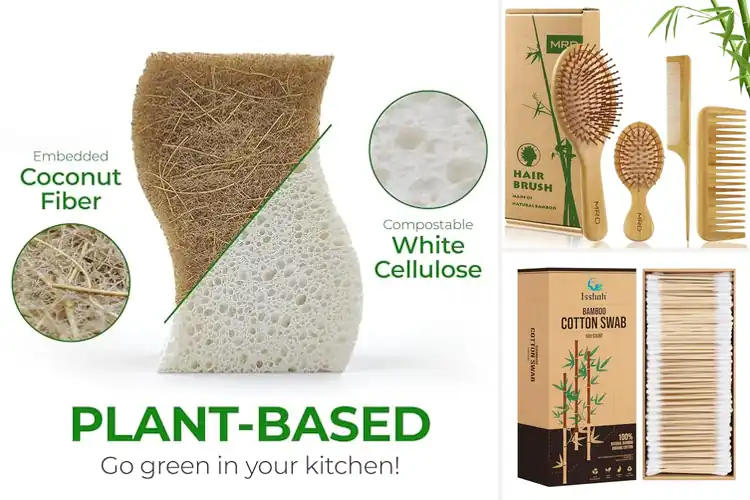 Detailed view of Best Eco-Friendly Products: Go Green Today