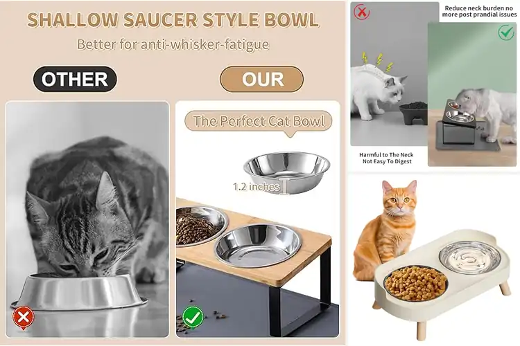 Detailed view of Best Elevated Cat Feeders