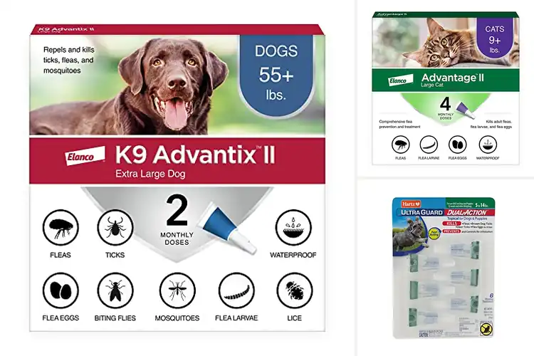 Detailed view of Best Flea Treatments