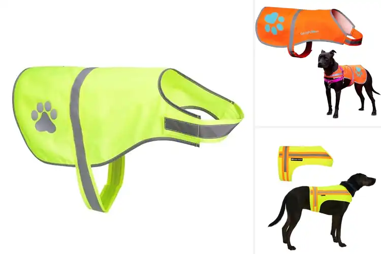 Detailed view of Best High Visibility Dog Vests