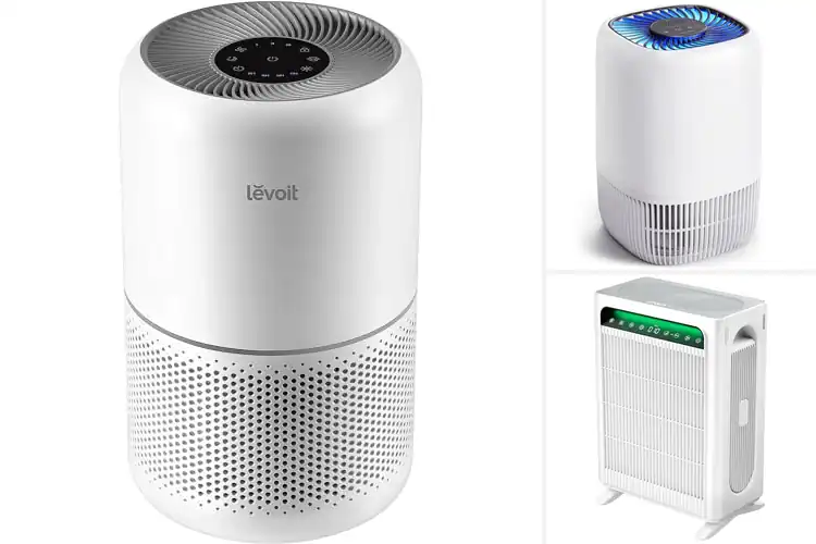 Detailed view of Best Home Air Purifiers: Top 10 Picks for Fresh, Healthy Air