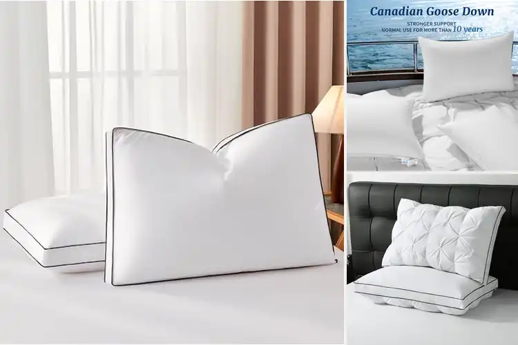 Detailed view of Best Luxury Goose Down Pillows