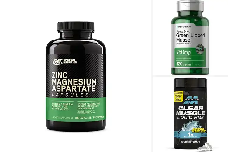 Detailed view of Best Muscle Support Supplements