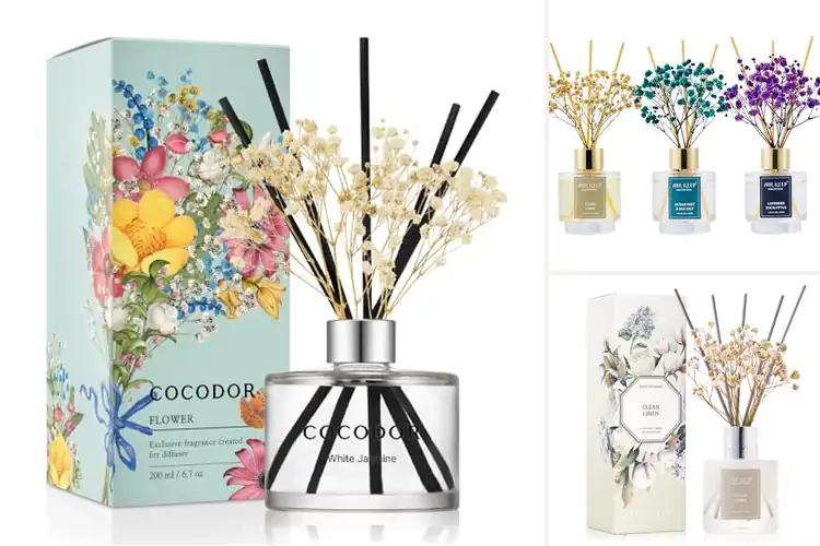 Detailed view of Best Perfume Diffusers
