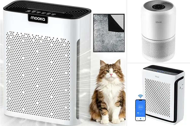 Detailed view of Best Pet Air Purifiers