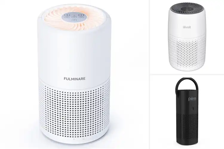 Detailed view of Best Portable Air Purifiers