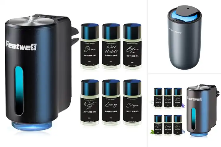 Detailed view of Best Rechargeable Car Air Fresheners