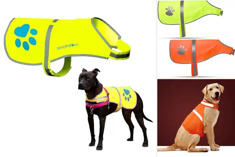 Detailed view of Best Reflective Dog Jackets: Top 10 Picks for Safe Walks