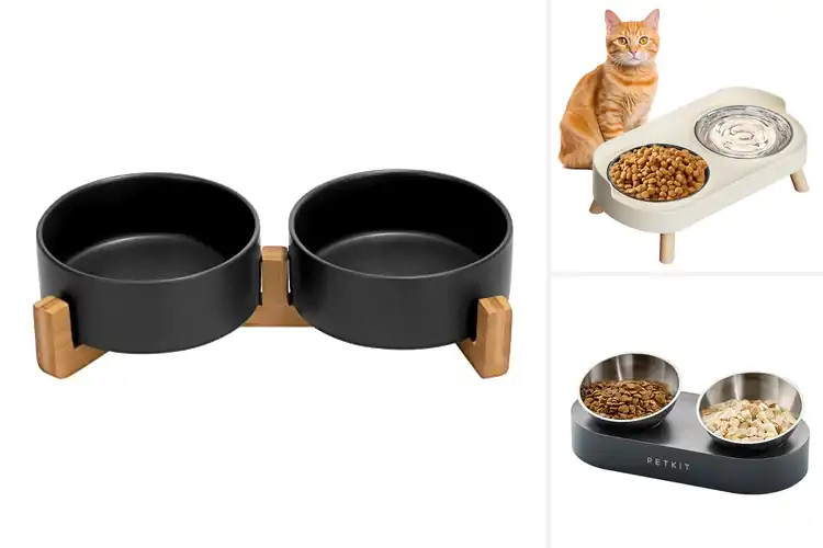 Detailed view of Best Stylish Cat Bowls