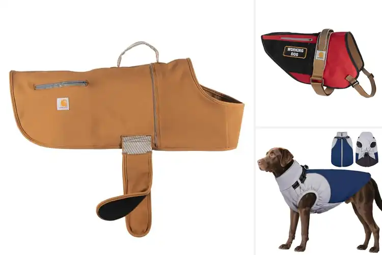 Detailed view of Best Water Repellent Dog Vests